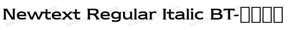 Newtext Regular Italic BT字体转换